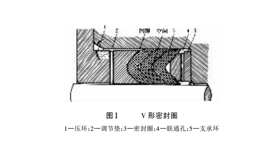 V型密封圈
