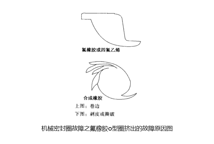 盾尾密封圈