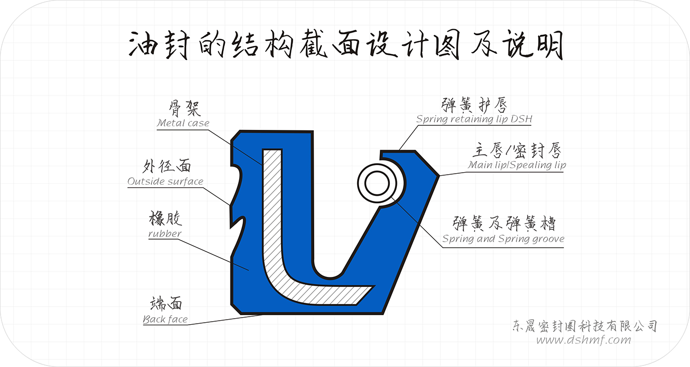 油封的结构截面设计图及说明