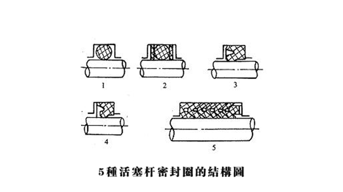 5种活塞杆密封圈的结构图2