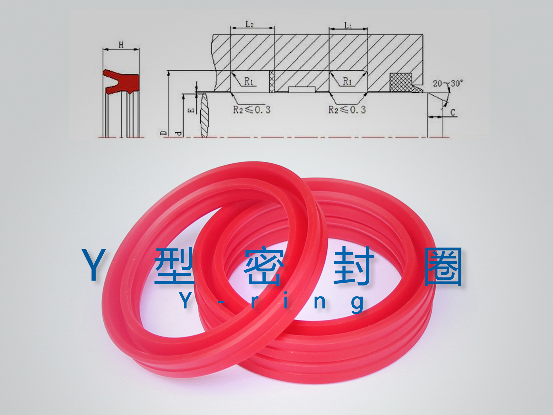 Y型密封圈（密封件、油封）与截面结构产品图.jpg